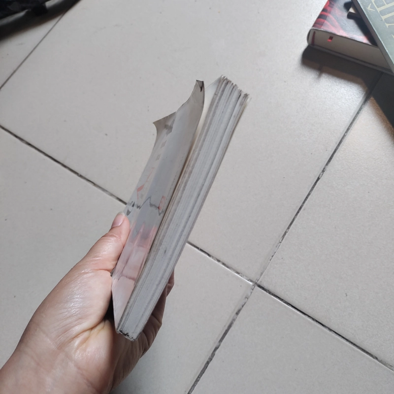 Tiểu thuyết gập ghềnh của Hoàng Ngọc Hà 471963