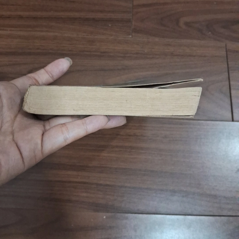 Điên cuồng như Vệ Tuệ 506961