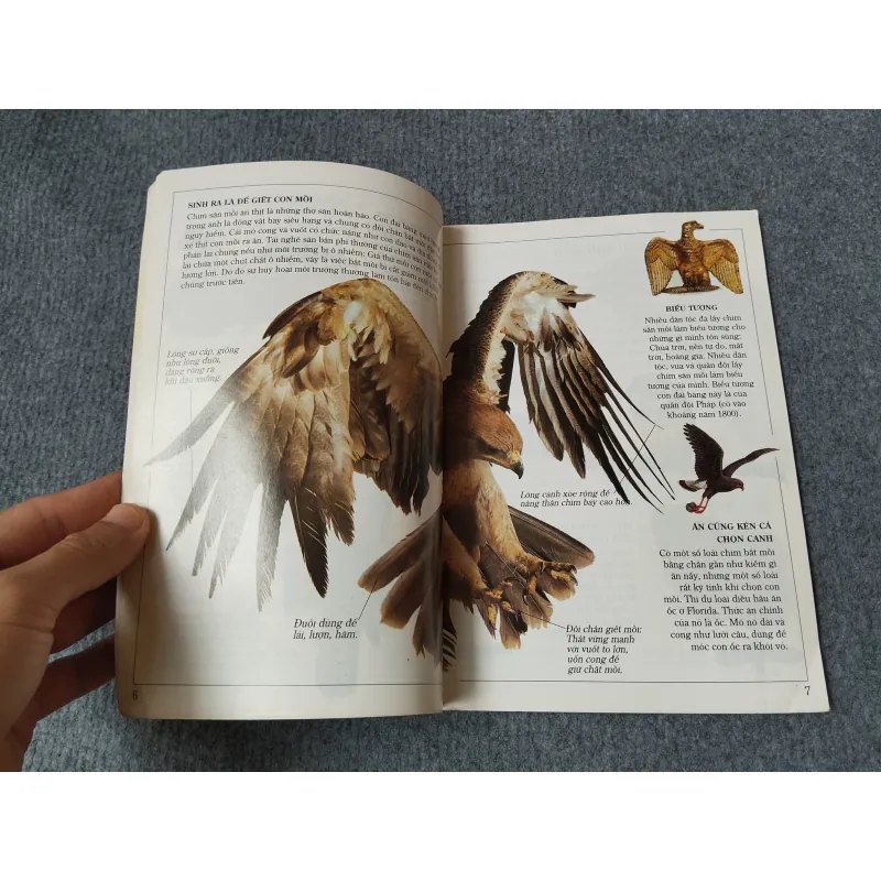 ĐẠI BÀNG - TỦ SÁCH KIẾN THỨC THẾ HỆ MỚI 720727