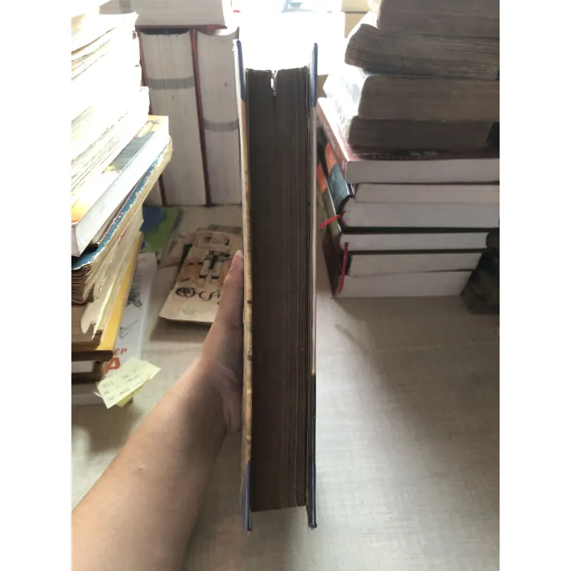 Tổng tập văn học Việt Nam 993263