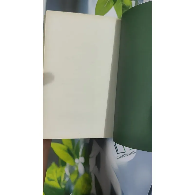 Gió Lẻ Và 9 Câu Chuyện Khác - Nguyễn Ngọc Tư 798456