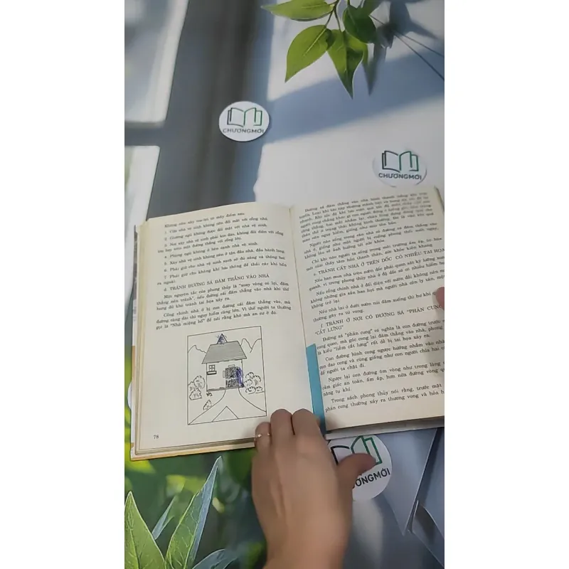 Phong Thủy Trong Hôn Nhân - Thanh Long 990527