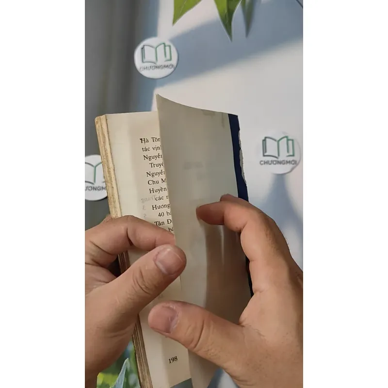 Bói Kiều - Phạm Đan Quế 798313