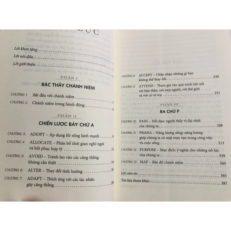 📘 QUẢN TRỊ CẢM XÚC – Naz Beheshti 488346