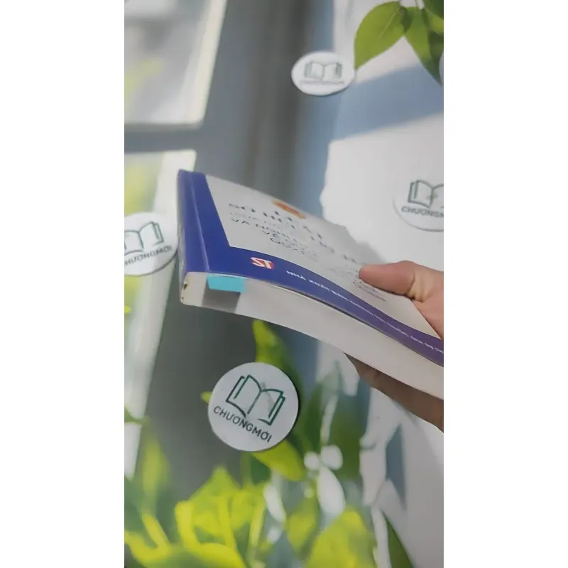 Luật Sở Hữu Trí Tuệ Và Nghị Định Hướng Dẫn Về Quyền Tác Giả, Quyền Liên Quan 727366