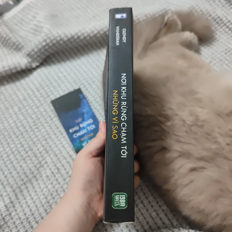 Nơi khu rừng chạm tới những vì sao 736303