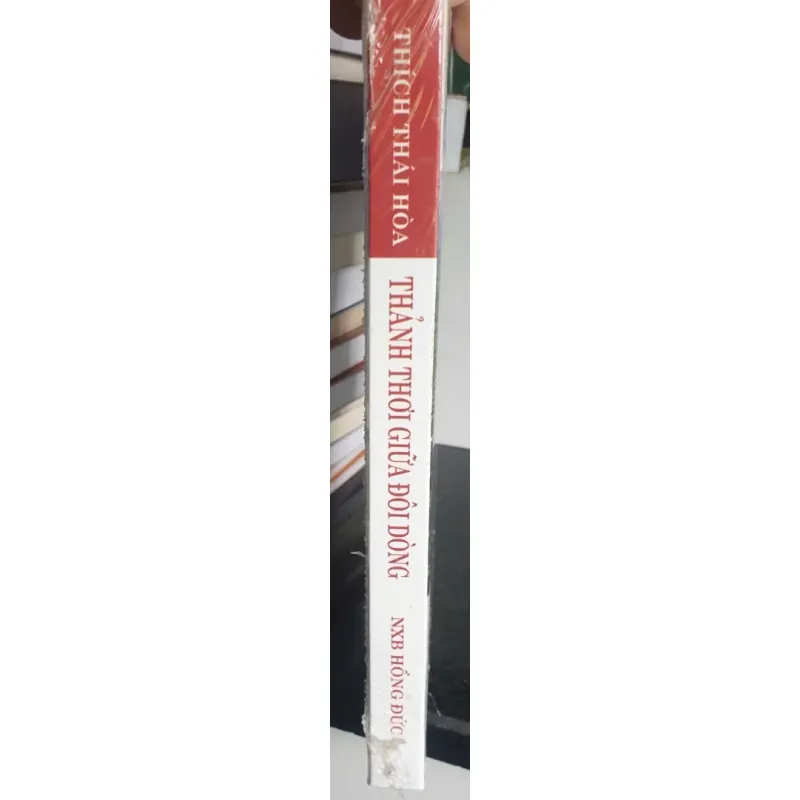 Thảnh Thơi Giữa Đôi Dòng - Thích Thái Hòa 689248