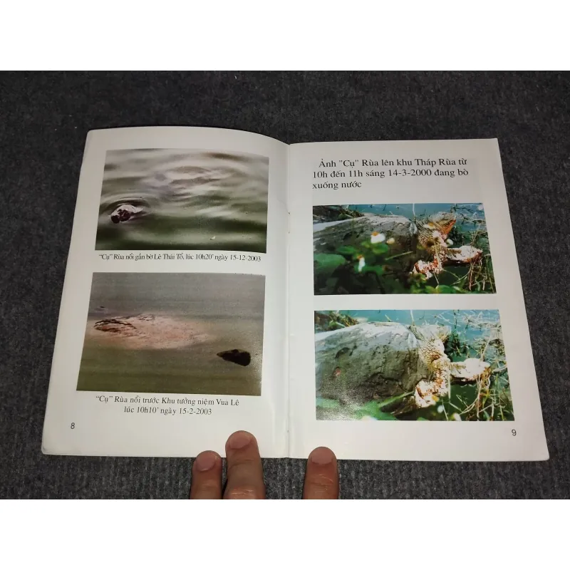 KỂ CHUYỆN VỀ RÙA Ở HỒ GƯƠM 993105