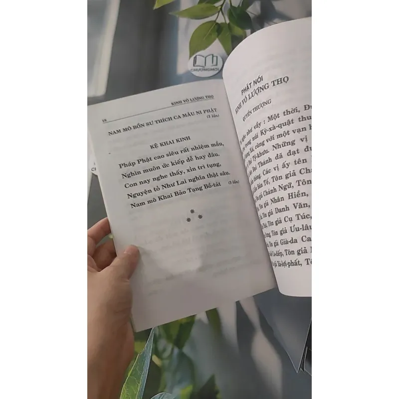 Kinh Vô Lượng Thọ - Thích Tuệ Đăng (Dịch) 928502