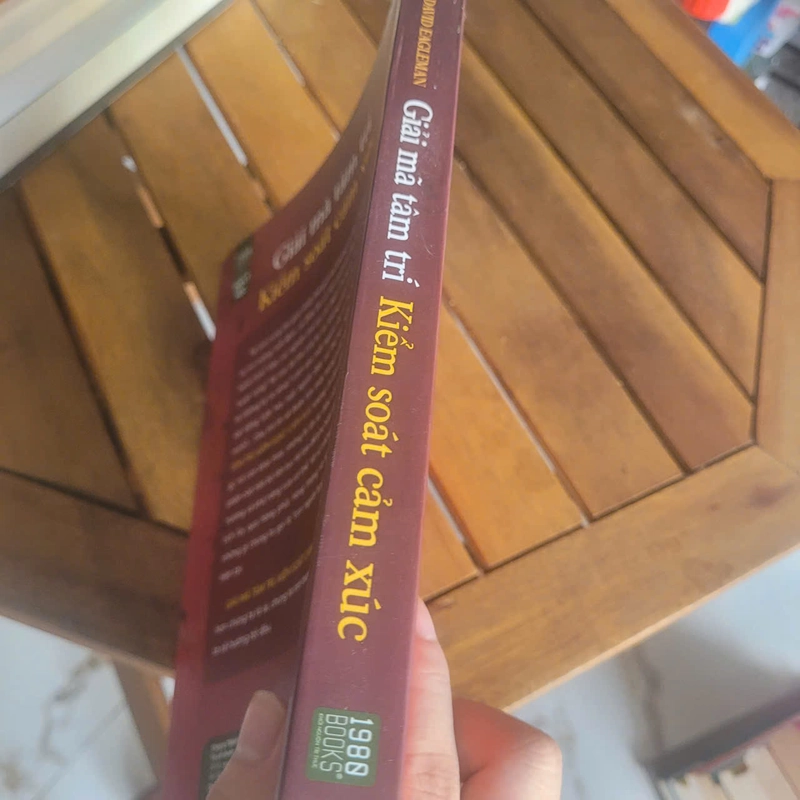 Giải mã tâm trí - Kiểm soát cảm xúc	David Eagleman 521386