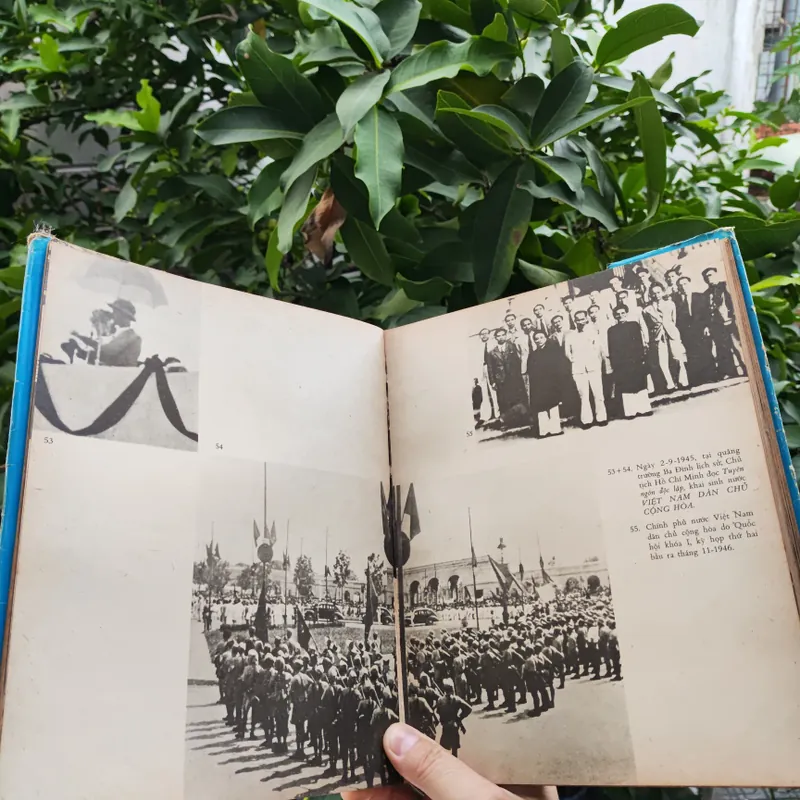 Dưới Lá Cờ Vẻ Vang Của Đảng 706340