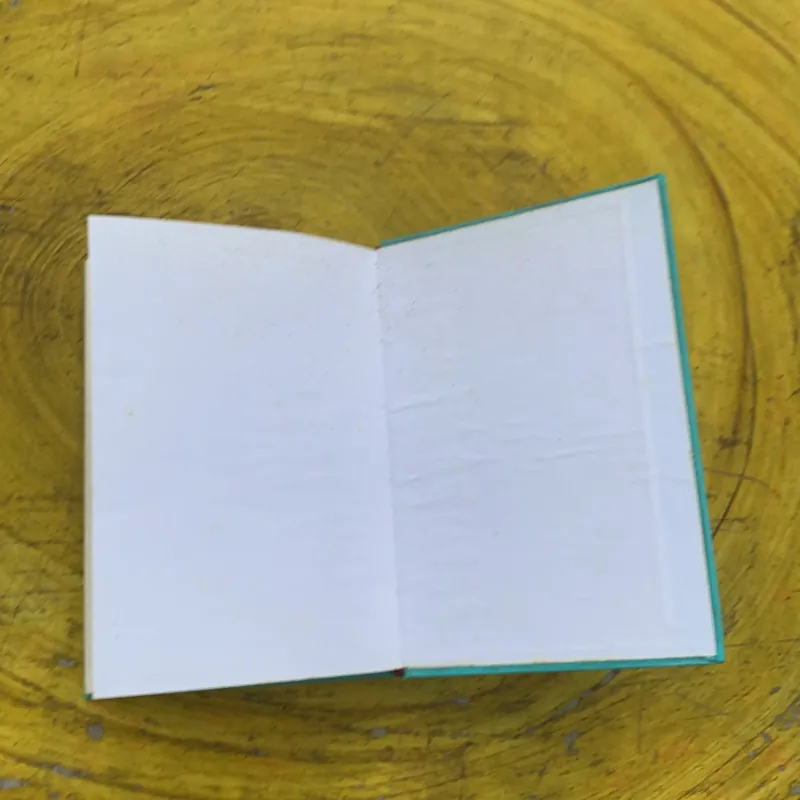 THỜI XA VẮNG - LÊ LỰU  783863