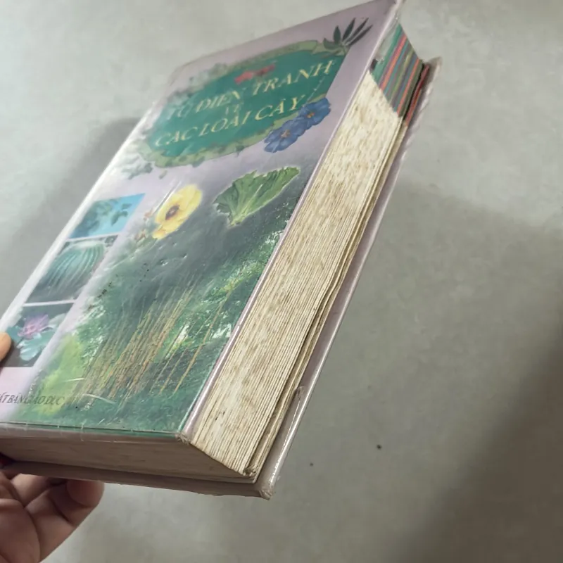 Từ điển tranh về các loài cây - Lê Quang Long  751505