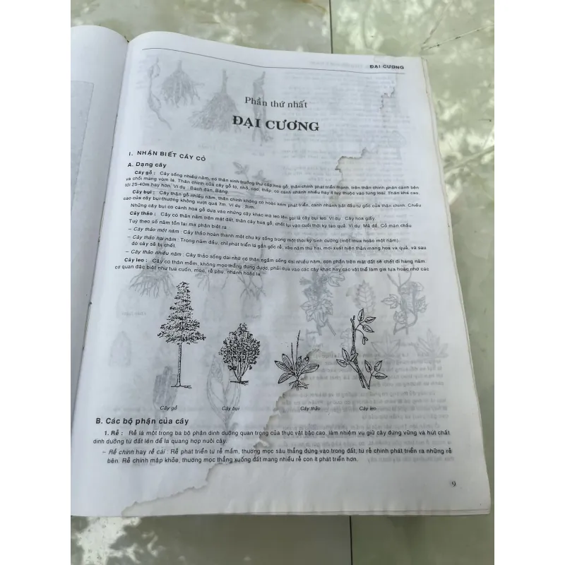 TỪ ĐIỂN CÂY THUỐC VIỆT NAM - VÕ VĂN CHI 930937