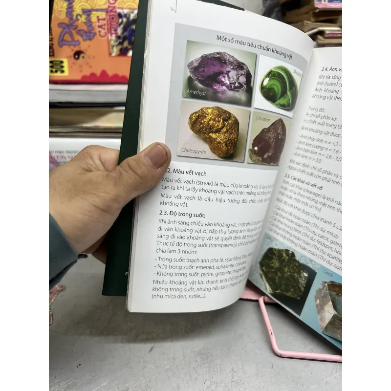 Nghệ thuật thưởng ngoạn đá cảnh 971284