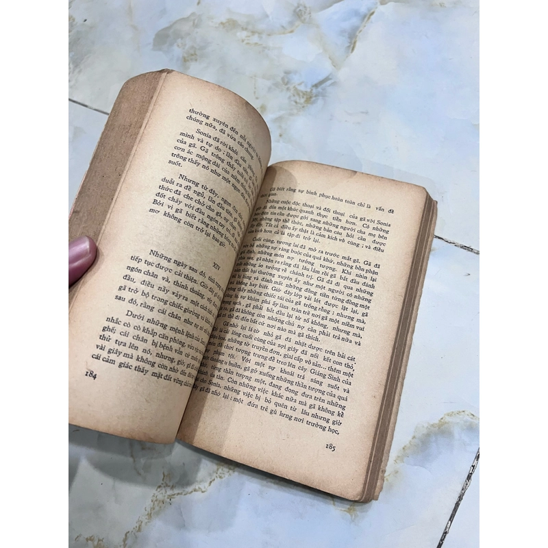 Đi trong hoàng hôn - Mai Vi Phúc dịch 531550