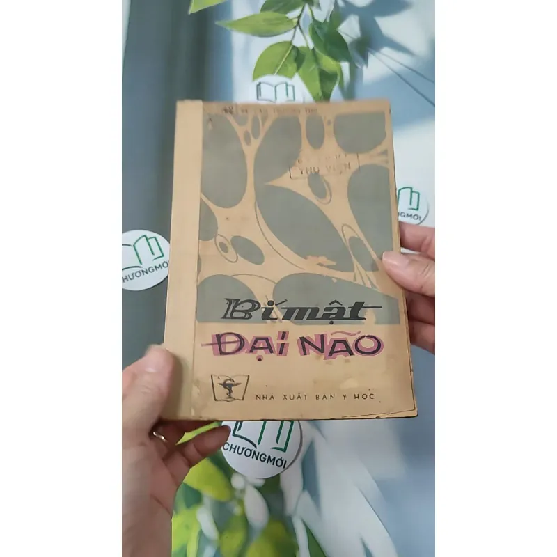 [XƯA] Bí Mật Đại Não (1982) - BS. Cao Trường Thọ 775987