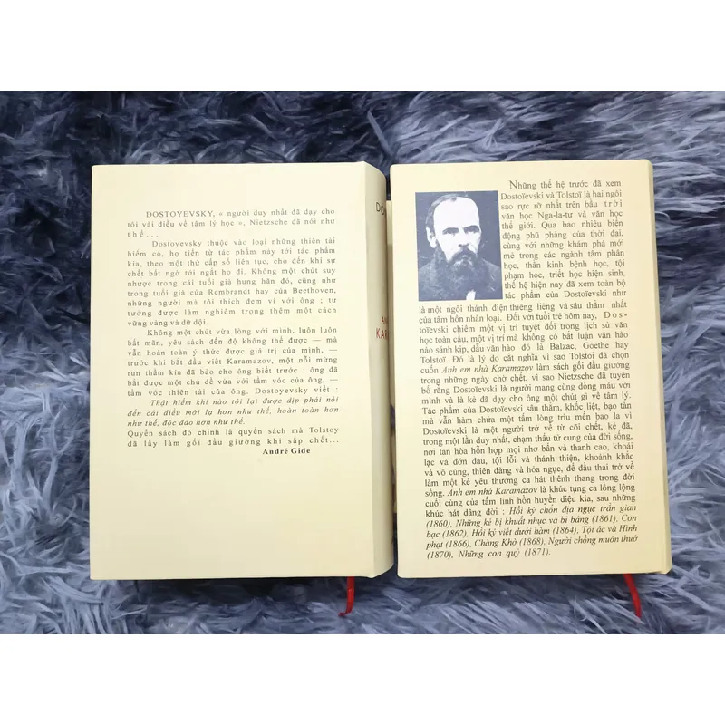 Anh em nhà Karamazov (NXB An Tiêm 1972) 663636