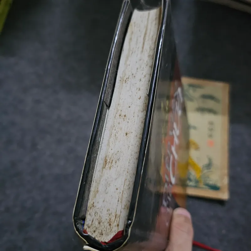 Điệp viên của Chúa 733071