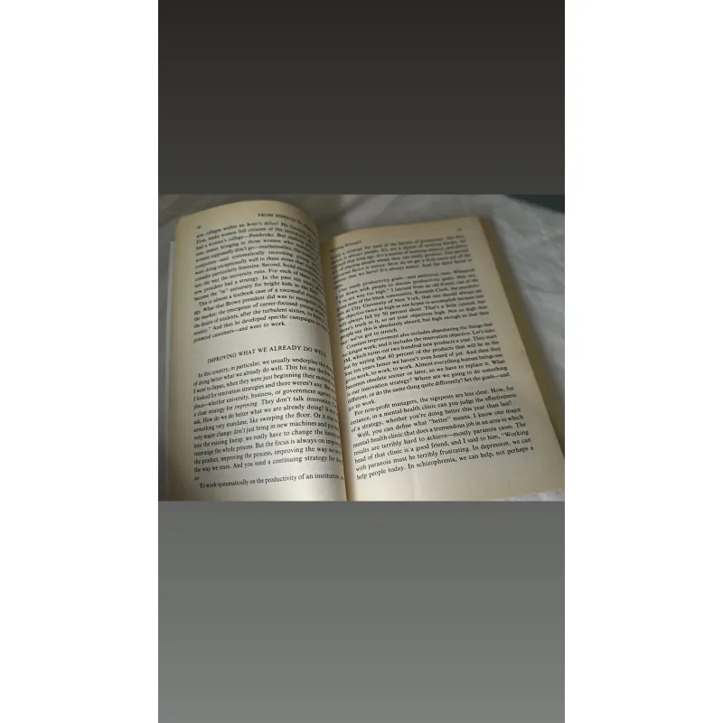 Management / Non-profit – Managing the Non-Profit Organization | Peter F. Drucker 755130