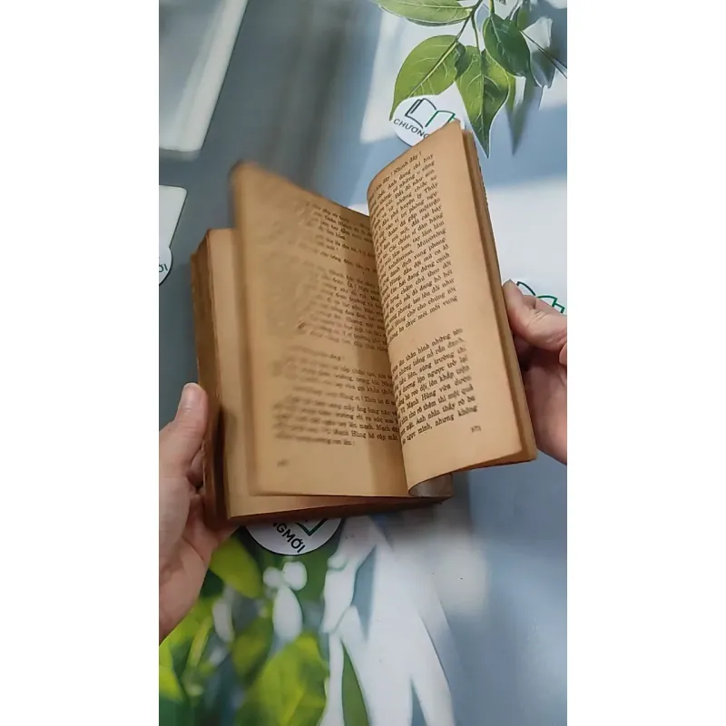 [XƯA] Quãng Đời Xưa In Bóng (1990) - Dũng Hà 776083