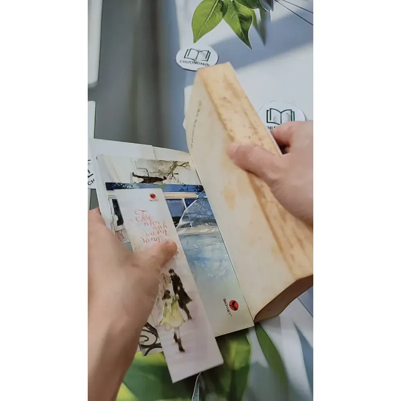 Tôi Như Ánh Dương Rạng Rỡ - Cố Mạn 744697