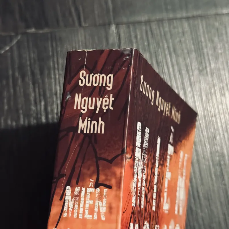Miền hoang - Sương Nguyệt Minh 576878
