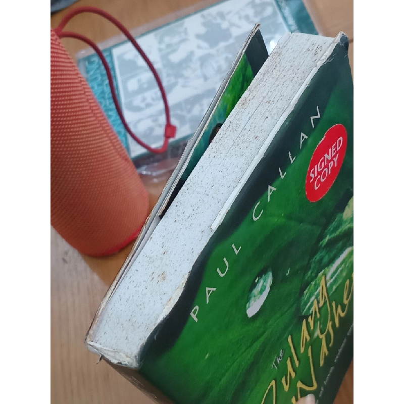 The Dulang Washer - Paul Callan 544648
