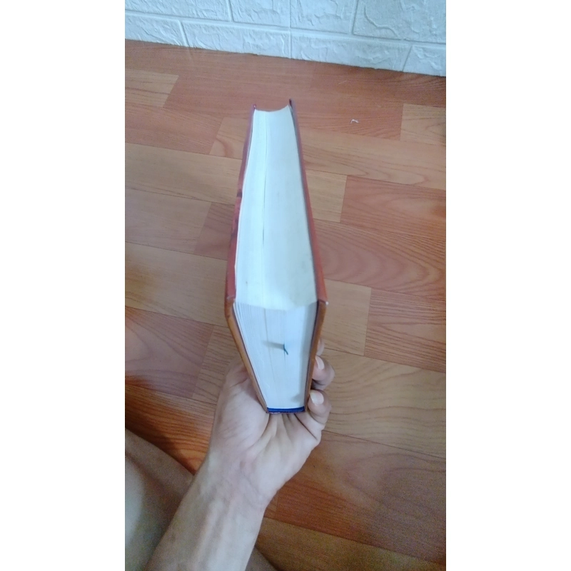 Hạt giống Đỏ  448259