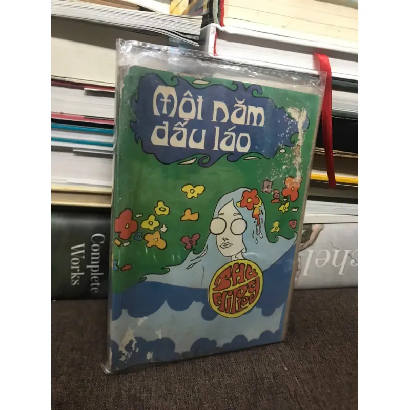 MỘT NĂM ĐẦU LÁO 599001