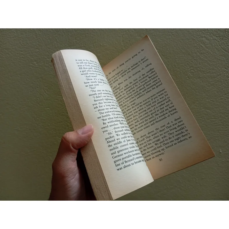 Black dogs, ian mc ewan , sách ngoại văn tiếng Anh english book  734088