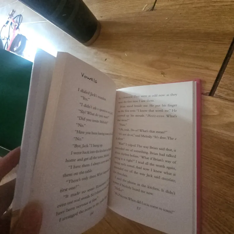 Sly the Sleuth and the Code Mysteries (bìa cứng) Giá 30k  603940