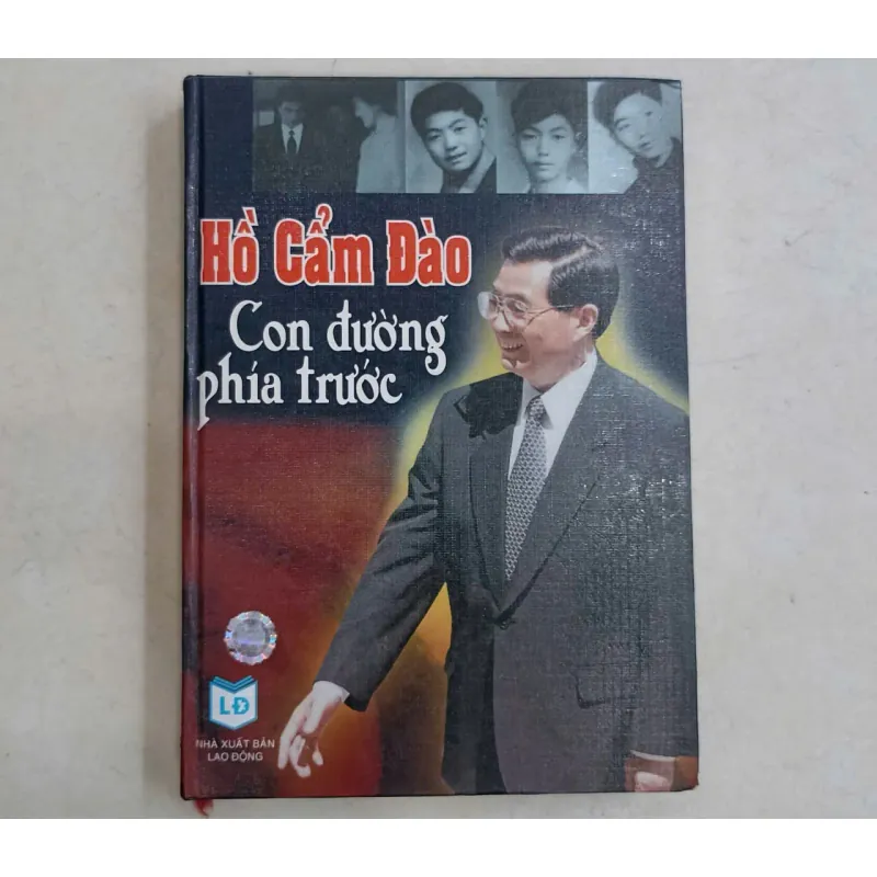 Hồ Cẩm Đào - Con đường phía trước🌻 707861