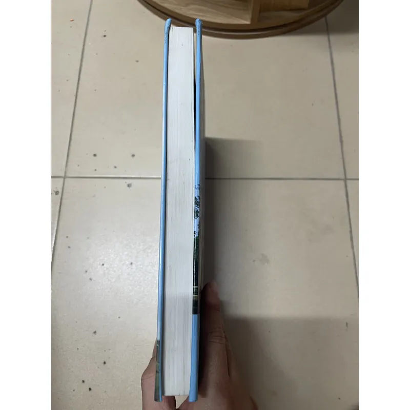 Chính Phủ Việt Nam 1945 - 2000 (c) 728321