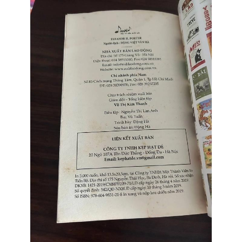 David - Cây Vĩ Cầm Biết Nói - Eleanor H. Porter, Đặng Việt Vận Hà (dịch) 932832