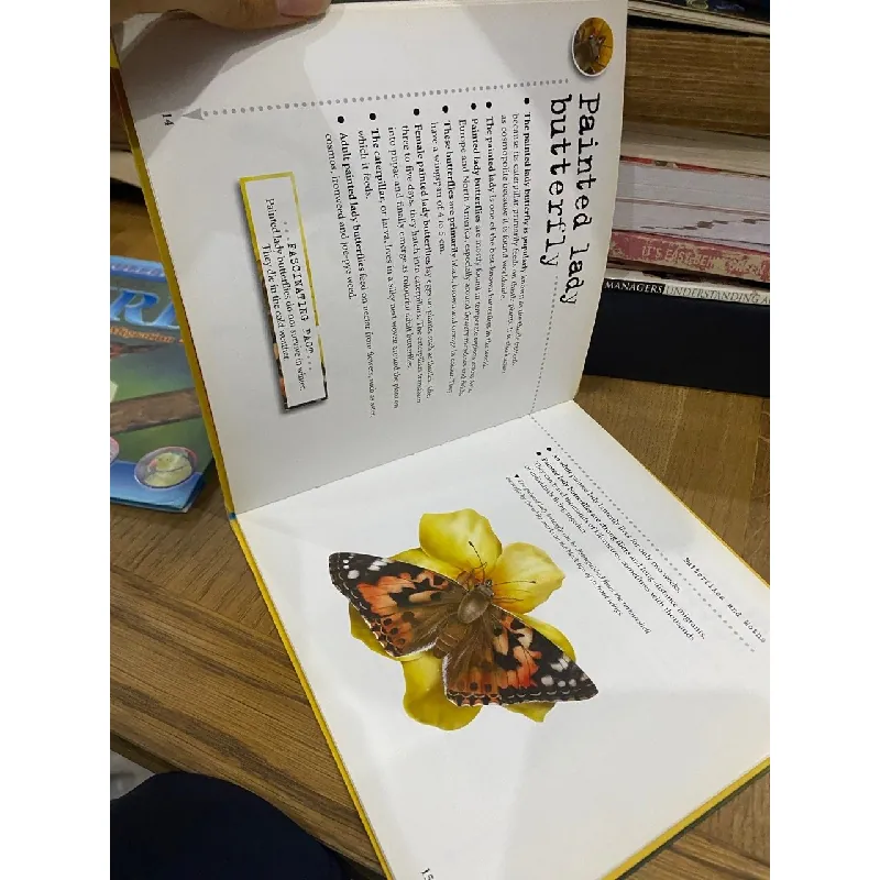 Bulletpoints about Animals 563589