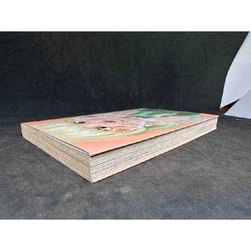 Gửi em người bất tử, tập 10. Mới 90% SBM2508 347960