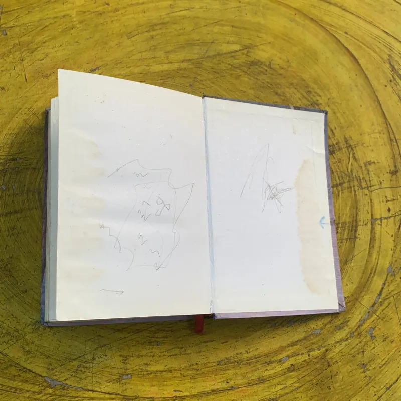 BÔNG HỒNG VÀNG VÀ BÌNH MINH MƯA- KONXTANTIN PAUXTOPXKI 782461