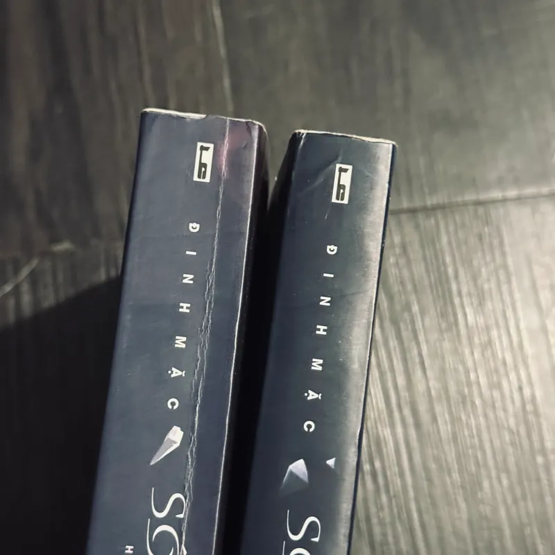 Sóng ngầm - Đinh Mặc 563912
