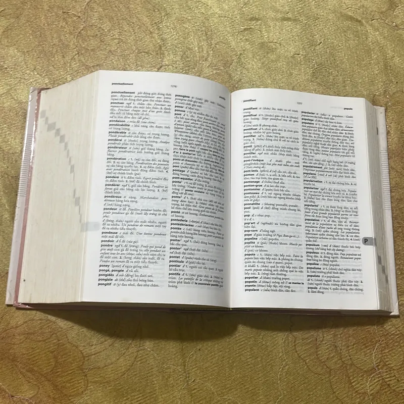 COMBO TỪ ĐIỂN PHÁP - VIỆT & VIỆT - PHÁP DICTIONNAIRE - FRANCAIS- VIETNAMIEN & VIETNAMIEN 717830