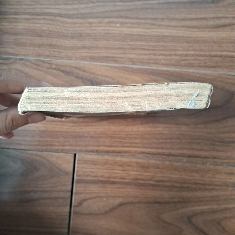 Sa bẫy của nàng 525022