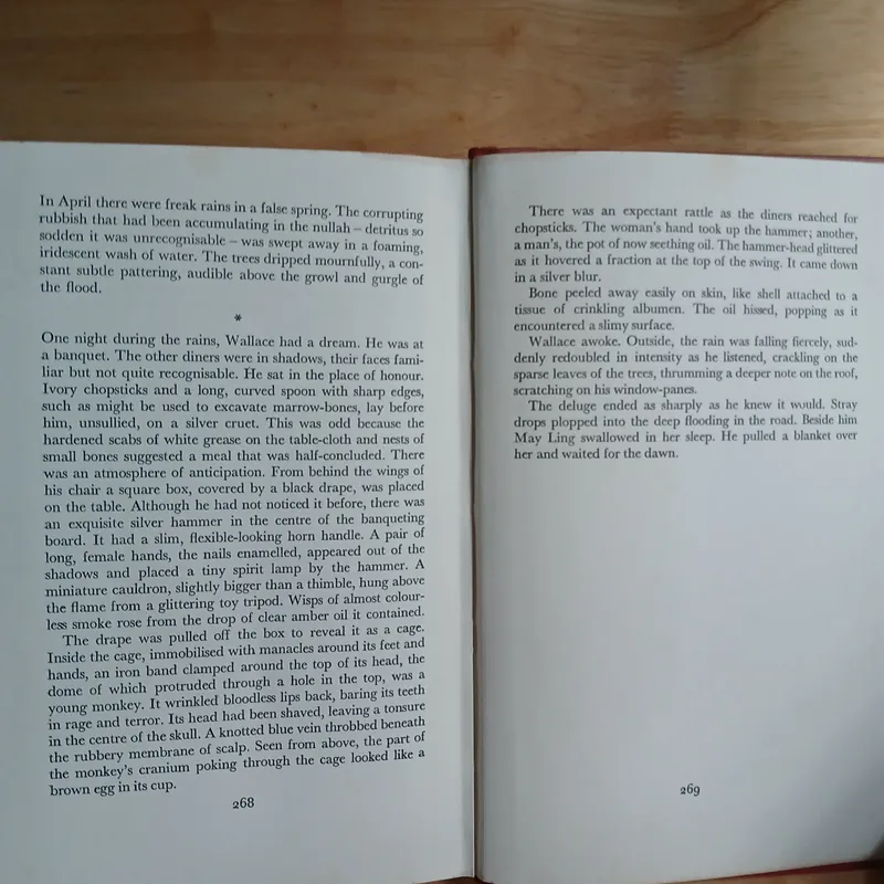 The Monkey King - Timothy Mo 711644