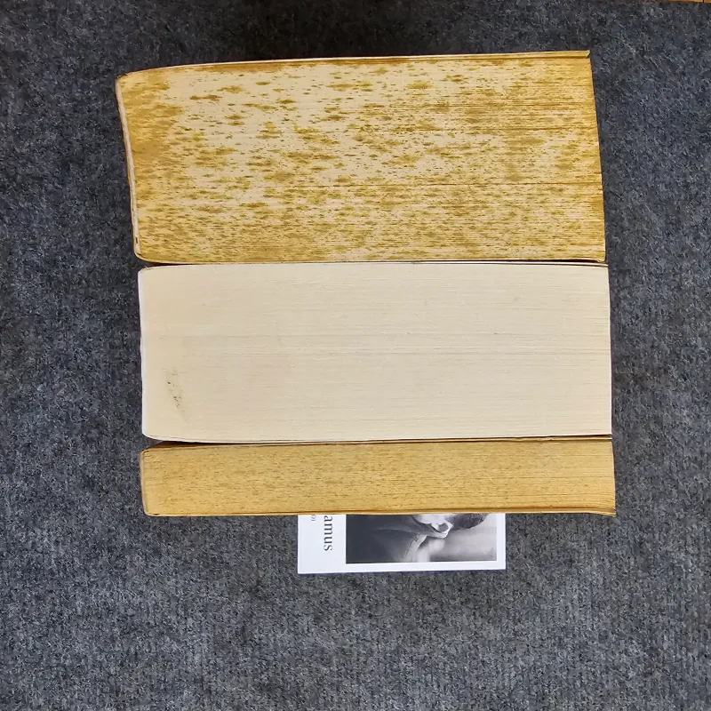 The Idiot - Evils - The gambler - Dostoevsky 1013405