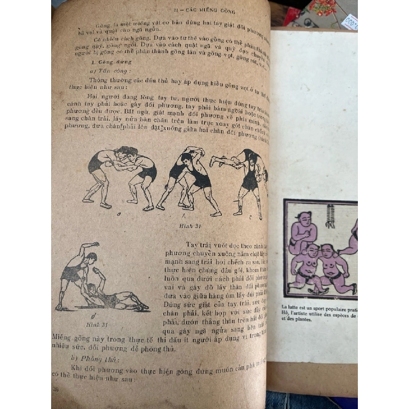 Vật Việt Nam 753956