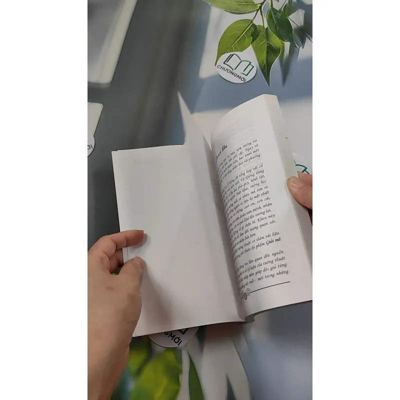 Giải Mã Nốt Ruồi - Mê Linh 776116