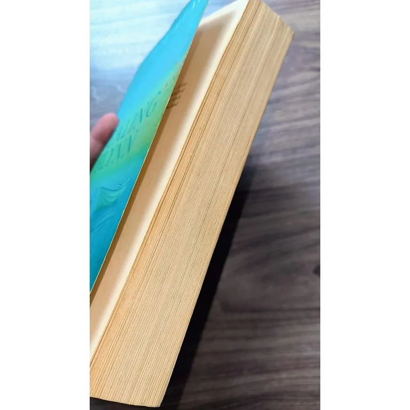 Healing Flynn -
Juliette Mead (preloved books) 722903