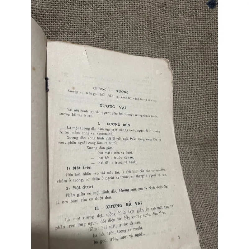 Giải phẫu & Phẫu Thuật xương chị trên; Xb 1957 1011242