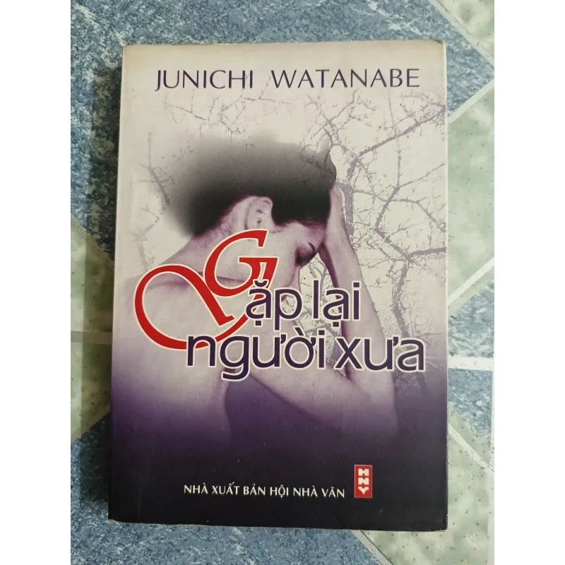 Gặp lại người xưa - Junichi Watanabe 558601