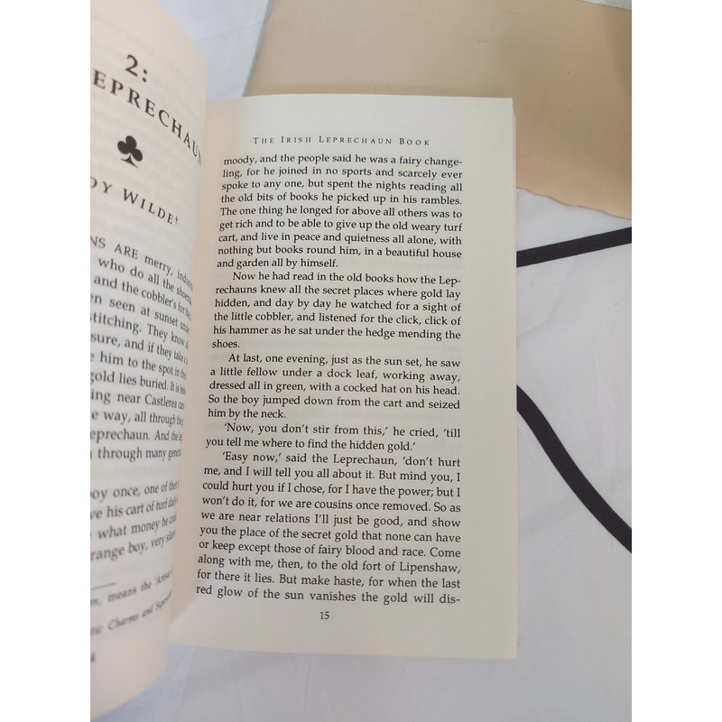 [Ngoại văn] - The Irish Leprechaun Book 478113