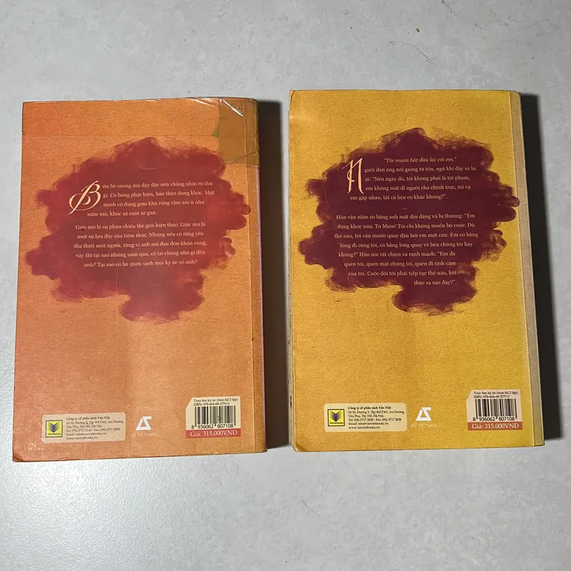 Truy tìm ký ức - Đinh Mặc (Trọn bộ 2 tập) 553410